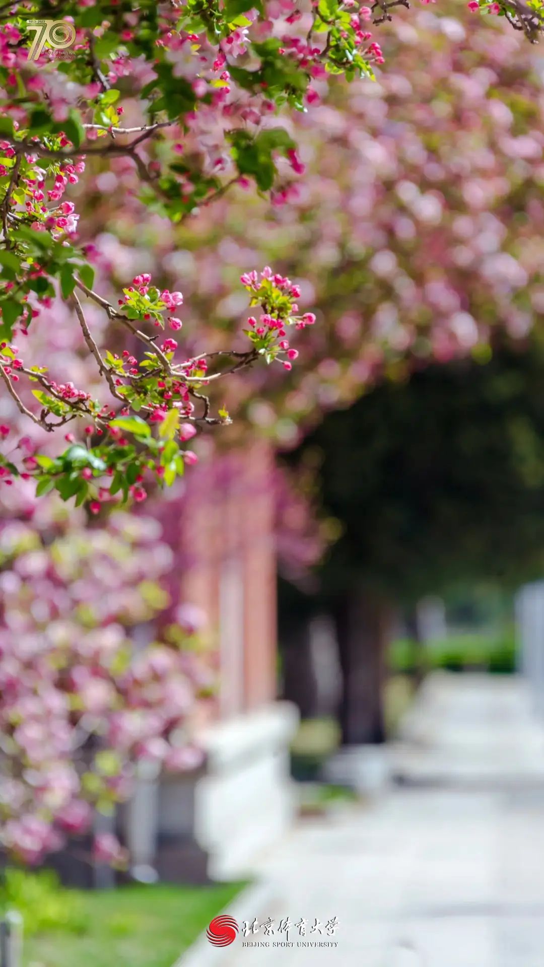 25c566e339ed4b28a8f4529c45fbbfc3.jpg 25c566e339ed4b28a8f4529c45fbbfc3.jpg