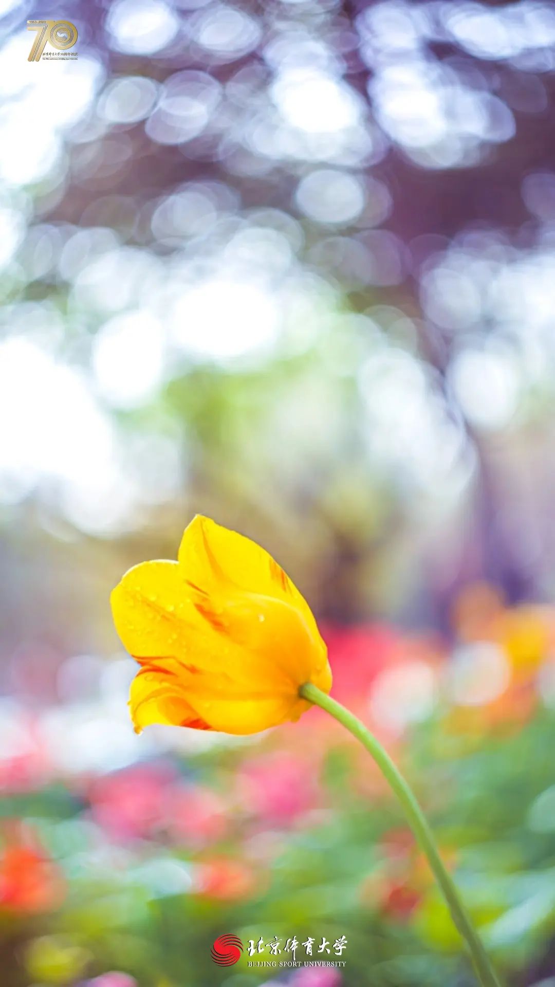 32b1b582a3a54278b99e2875f6adb3dd.jpg 32b1b582a3a54278b99e2875f6adb3dd.jpg