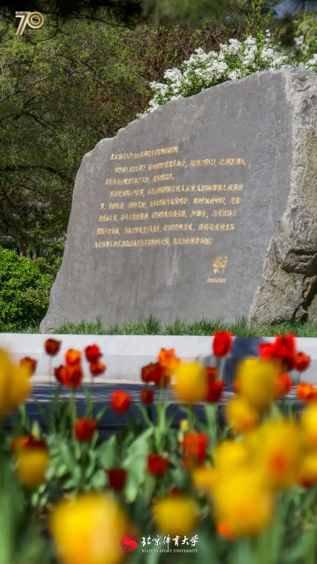 c8b1fb5c9b6f4bd1965cd6a99f66f3f3.jpg c8b1fb5c9b6f4bd1965cd6a99f66f3f3.jpg