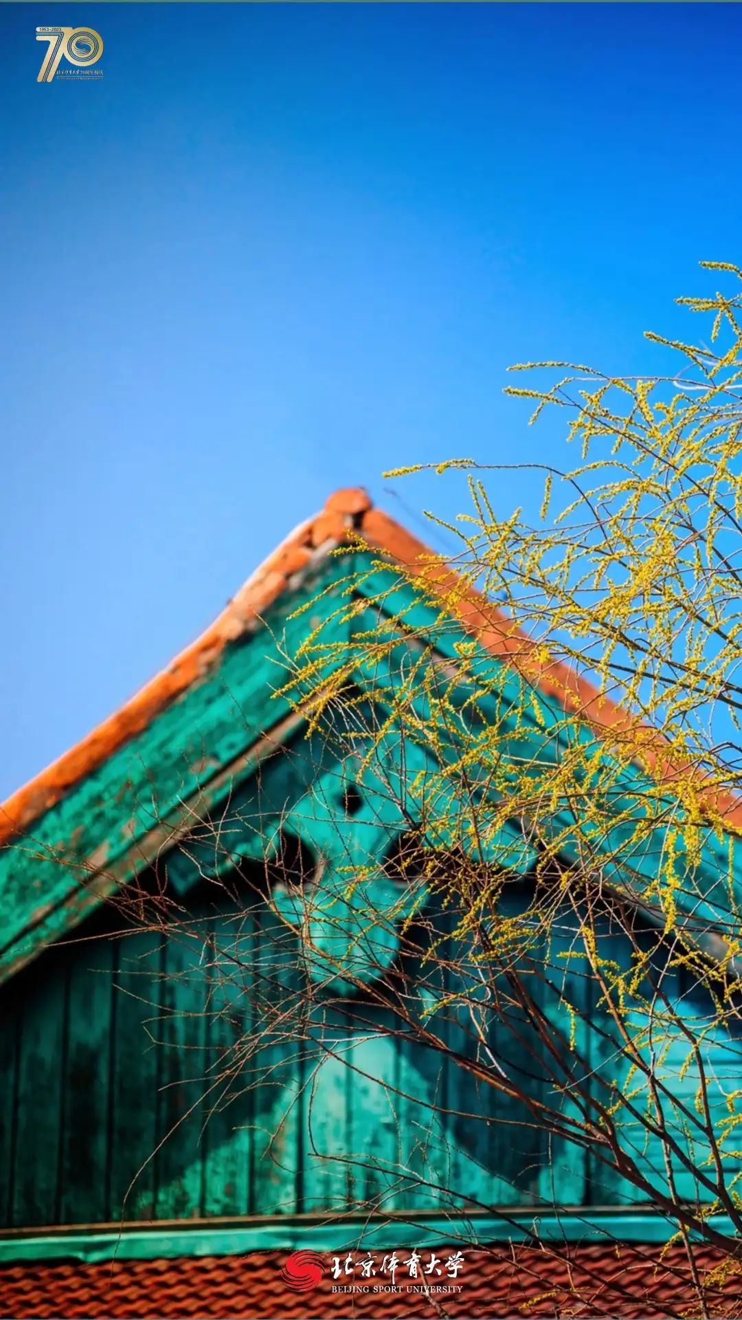 d2c7ada965a14001947548c3cd6602b5.jpg d2c7ada965a14001947548c3cd6602b5.jpg