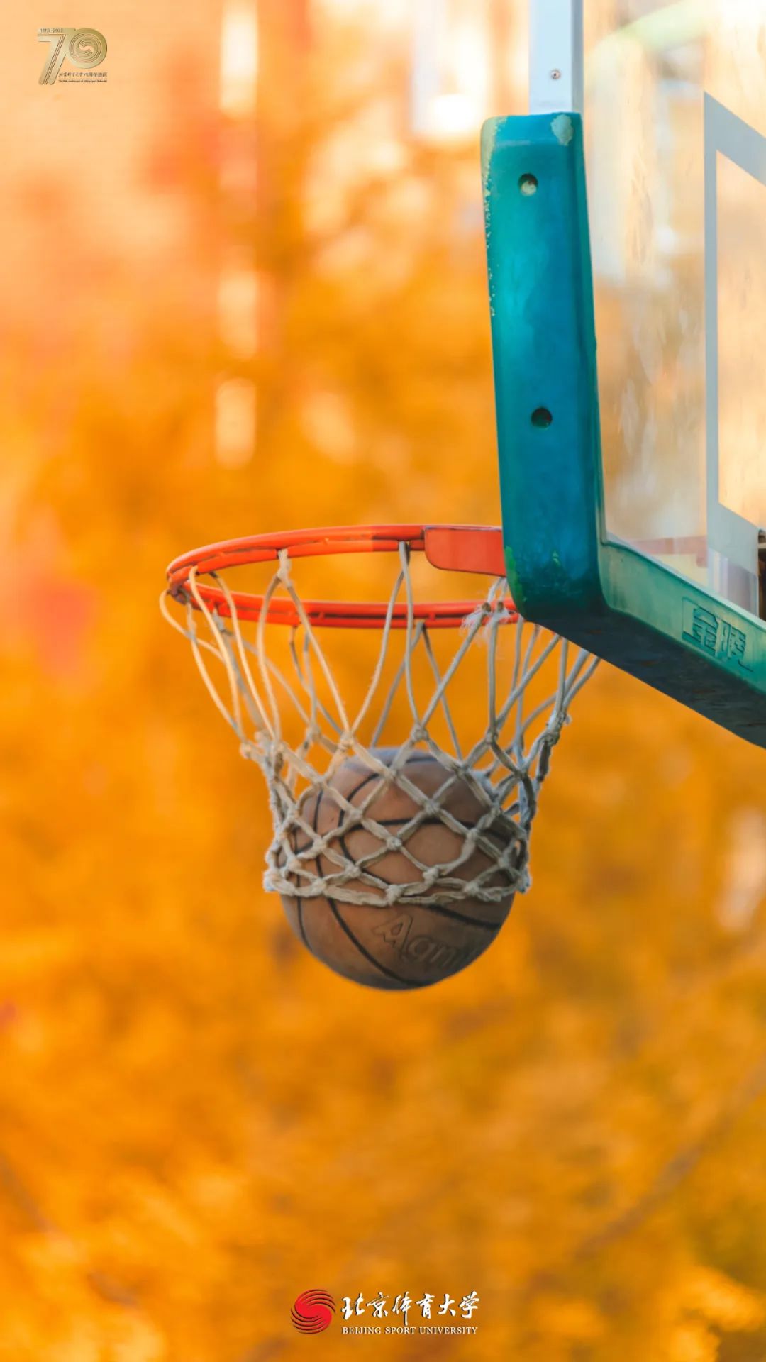 dc33b9557c084e81a0372ba1765510a8.jpg dc33b9557c084e81a0372ba1765510a8.jpg